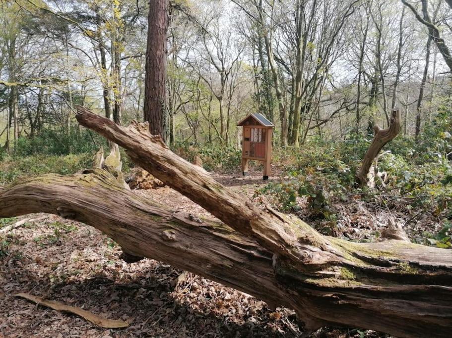 Pebble Cottage Uny Lelant Exterior foto